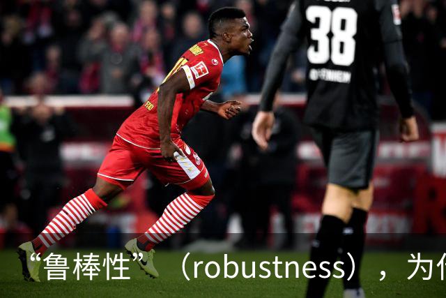 “鲁棒性”（robustness），为什么是糟糕的翻译？