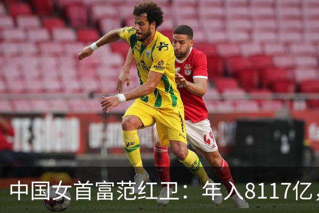 中国女首富范红卫：年入8117亿，超华为成第3民企，她哪来的钱？