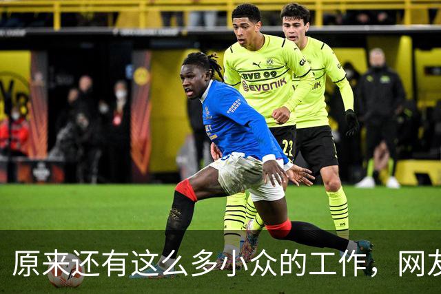 原来还有这么多小众的工作，网友：每天盈利2万