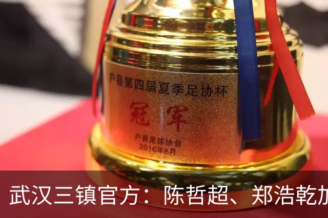 武汉三镇官方：陈哲超、郑浩乾加盟球队