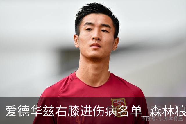爱德华兹右膝进伤病名单 森林狼战骑士存变数