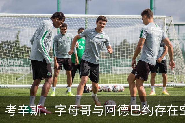 考辛斯：字母哥与阿德巴约存在空间问题，欧文能帮热火