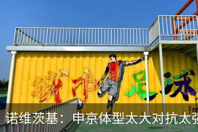 诺维茨基：申京体型太大对抗太强，马刺让他太轻松进篮下