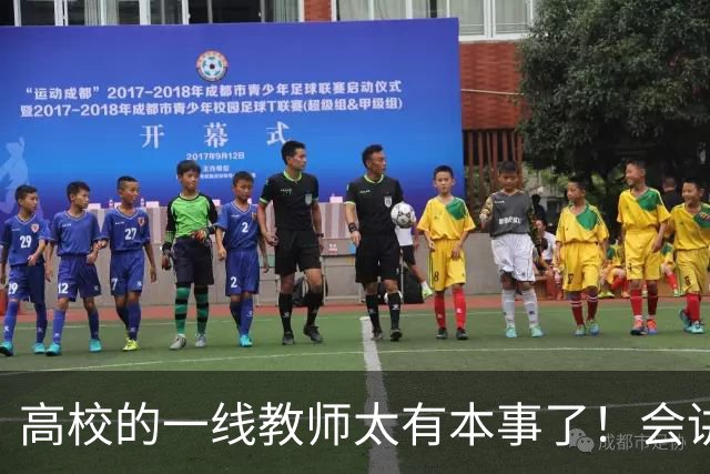 高校的一线教师太有本事了！会讲课，会科研，会指导论文，会就业，会做横向，还得会应付检查，抗压能力还贼强......