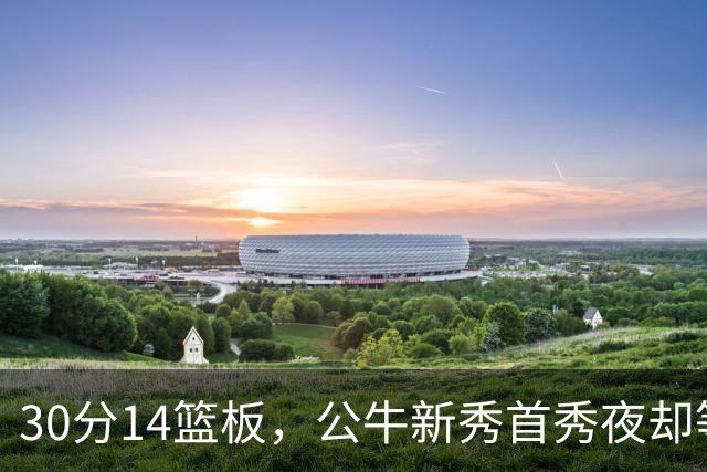30分14篮板，公牛新秀首秀夜却等不来一场胜利